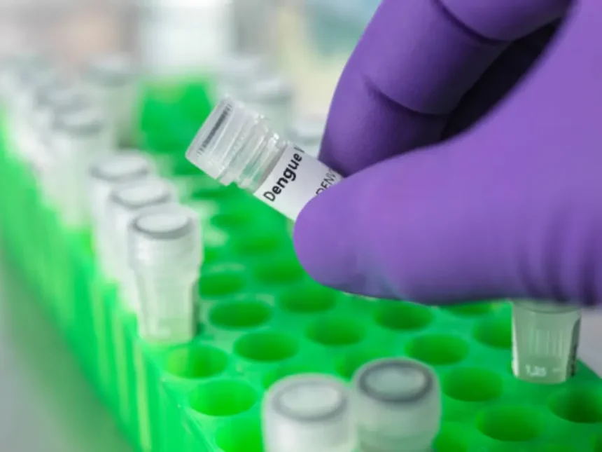 La provincia inicia una campaña gratuita de vacunación contra el dengue para adolescentes y adultos