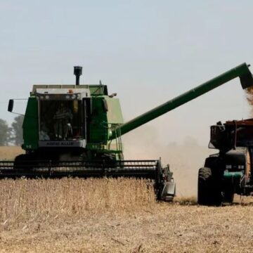 Gobierno eliminó retenciones al agro y generó impacto en dólares, recaudación y precios
