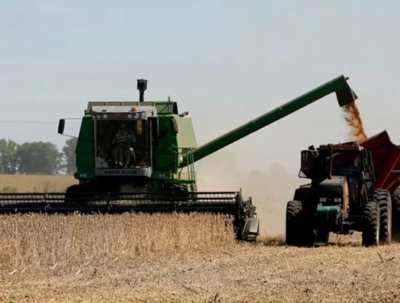 Gobierno eliminó retenciones al agro y generó impacto en dólares, recaudación y precios